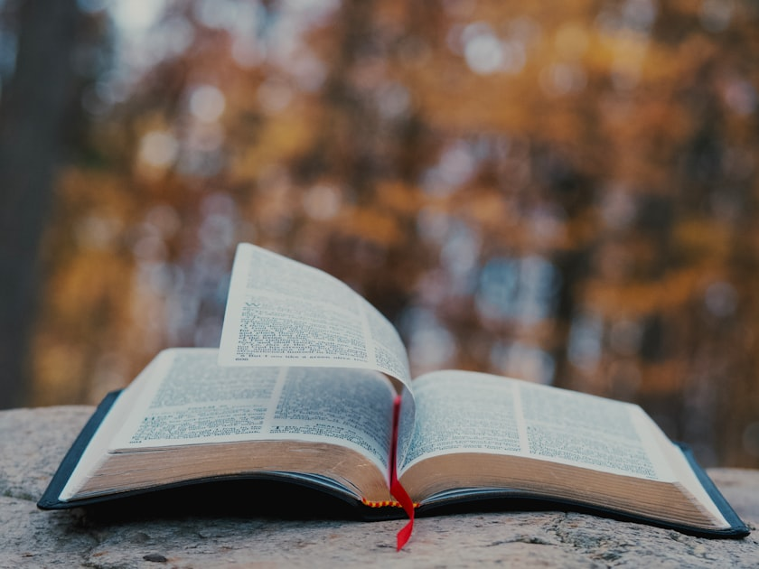 Building a Literary Blog